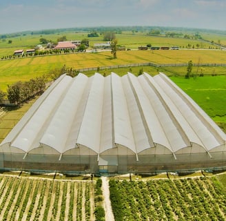 Sustainable rooftop farming project under protected cultivation