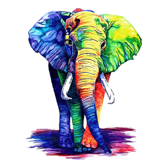 Unleash your imagination!