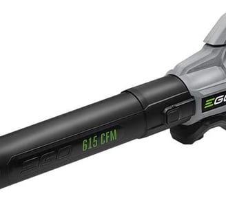 a greenworks electric blower with a blower