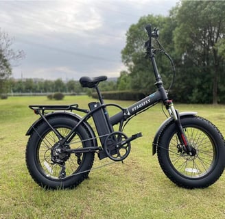 allegro ebike