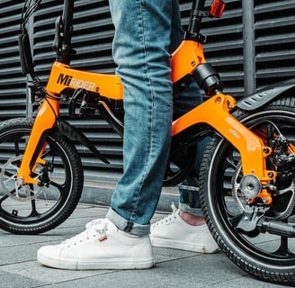 fiido ebike