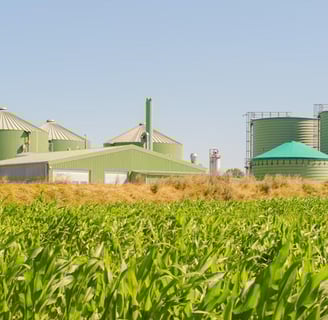 Inversiones-tapia-villamizar-alfredo-tapia-rizzo-17