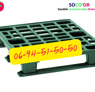 palette maroc prix