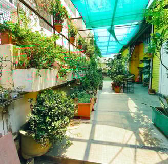 Terrace garden
