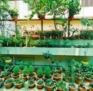 Terrace Garden