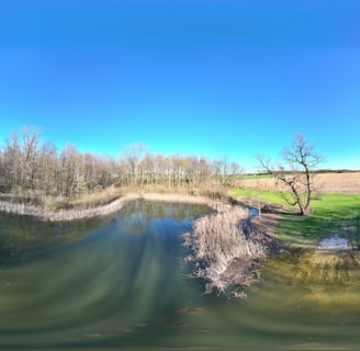 Spherical Mapped Panorama of Cricket Frog Cove Park
