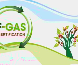 Certificazione F-Gas