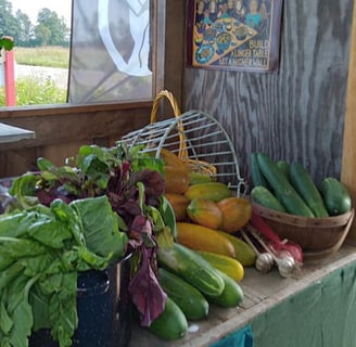 fresh vegetables in the farm stand