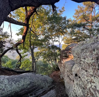 a rock formation on a rock formation in the woods