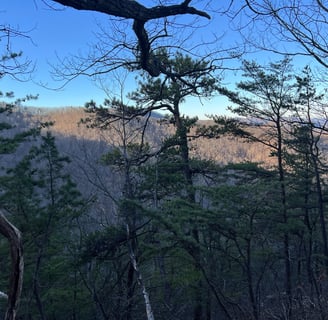 view of mountain from spec mine trail