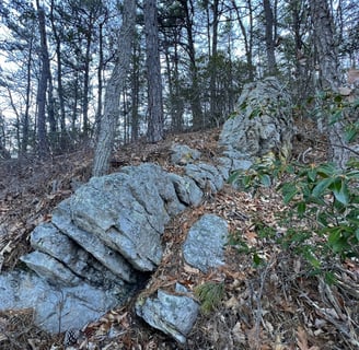 a rock wall located on the spec mine trail