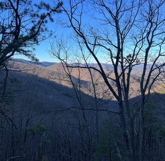 a view of a mountain range with trees and mountains in the background from spec mine trail