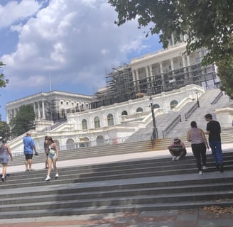 a group of people walking up stairs in front of a building