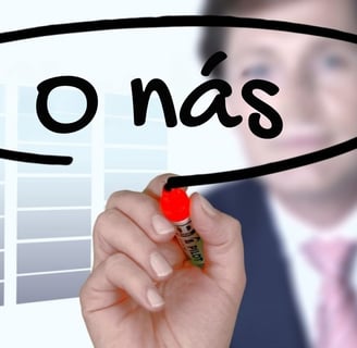 Responzívny dizajn 101: Ako vytvoriť webovú stránku optimalizovanú pre mobilné zariadenia