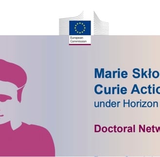 Emblem of EU MSCA Doctoral Network