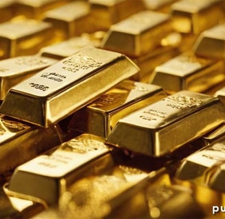 public gold bullion