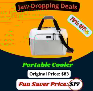 Portable Cooler