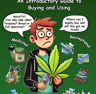 Guide Book Cover