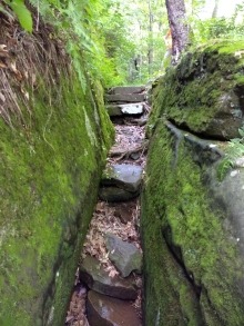 Moss covered stairs on a walk in the forest of Shawnee National Forest in Illinois.