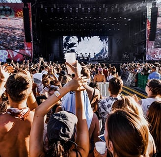 pessoas em evento show assistindo