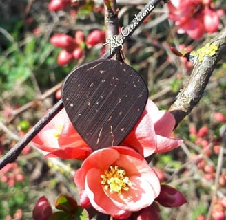 One of our Jumbo Jazz coconut shell guitar picks atop a pink flower of a Japanese Quince.