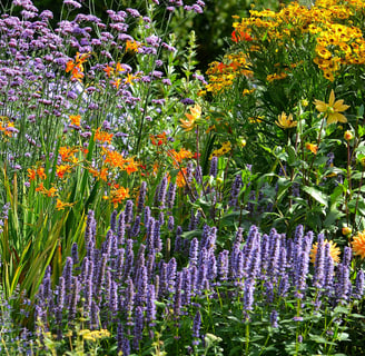 Flower boarder showing late summer display,
