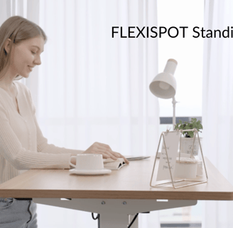 EntrepreneurNook - FLEXISPOT