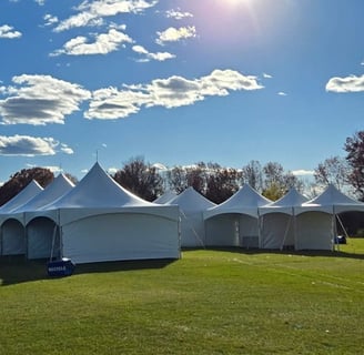 Carpas agrupadas el paso diamond events