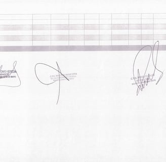 PAGINA 5