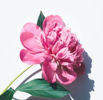 beautiful and vitamin and mineral nutritiousness