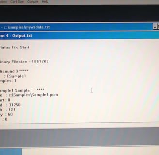 Bin file Wavestation SR 2