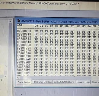 DX9 to DX7 Eprom Blank Check