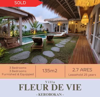 Construction of villas in Bali