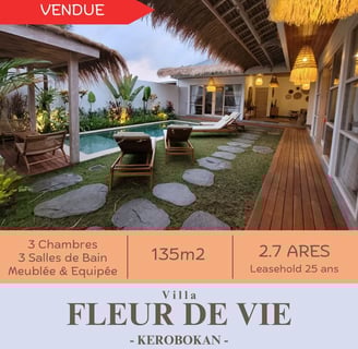 Construction de villas à Bali. Villa Fleur de Vie