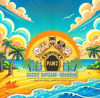 sun beach dogs