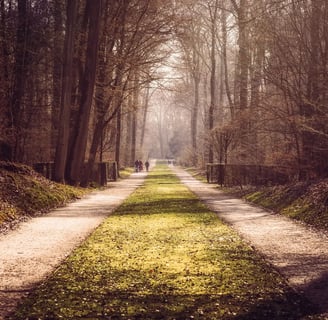 randonnées et vtt