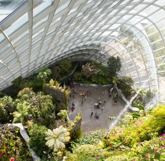 Cloud forest best top 5 tourist attractions in Singapore