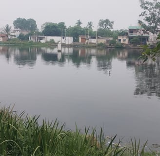 Image of pond