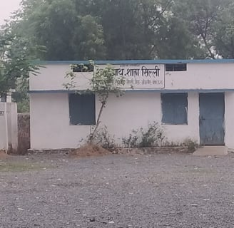 Primary school sirli