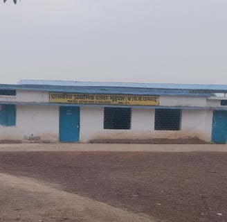 Primary school mudpar