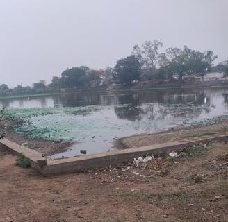 Pond