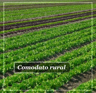 Comodato rural