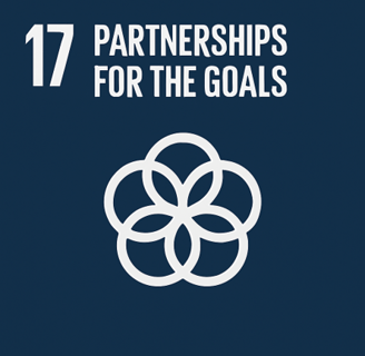 Partnership for the goals