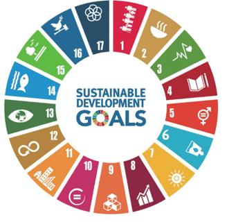 UN Sustainable Goals