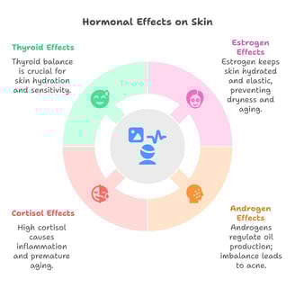 a diagram of the effects of Hormones in Skin Health