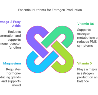 a diagram of the different types of vitamins that helps estrogen production