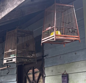 wooden bird cages hang on walkways, Koh Panyee