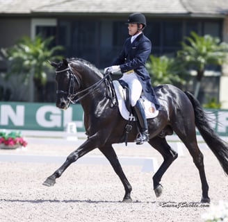 Rick Silvia with Rubinero competing in Dressage in Palm Beach, Florida, USA