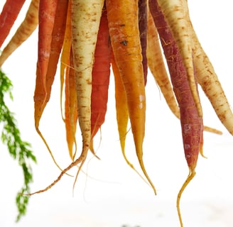a bunch of carrots