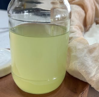 jar of whey , cheese cloth and milk saver
